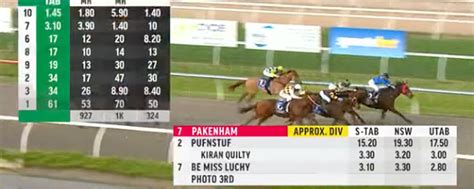 palmerbet review|palmerbet race results.